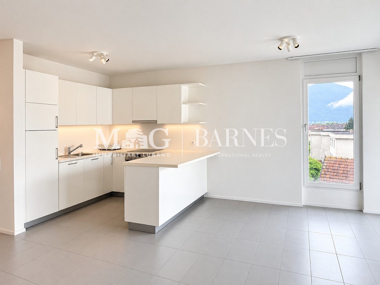 Appartement de 3 ½ pièces