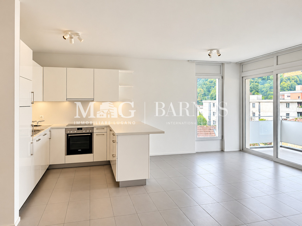 Appartement de 3 ½ pièces