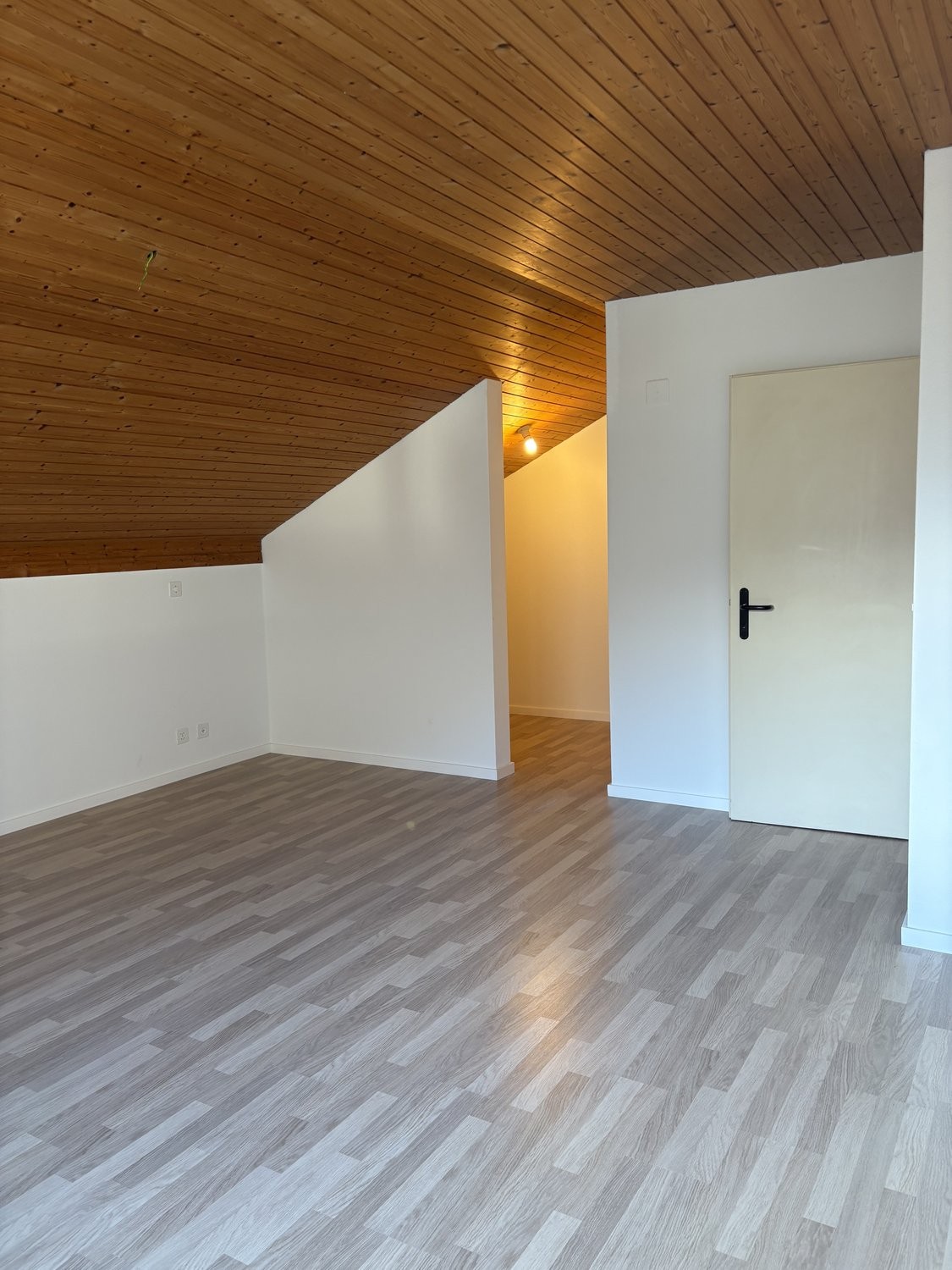 Appartement de 5 ½ pièces