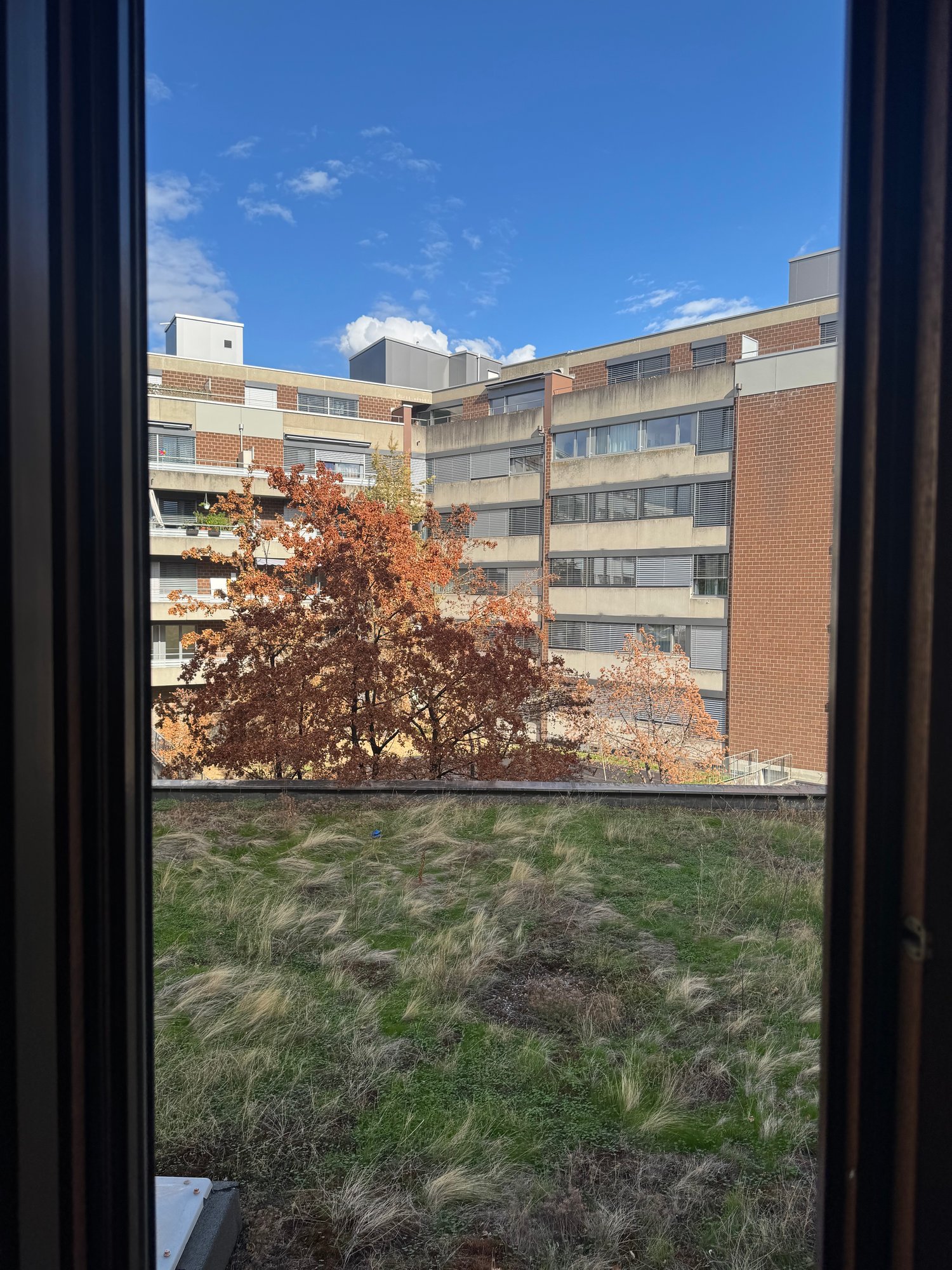 Stanza in un appartamento condiviso, foto 10 di 10