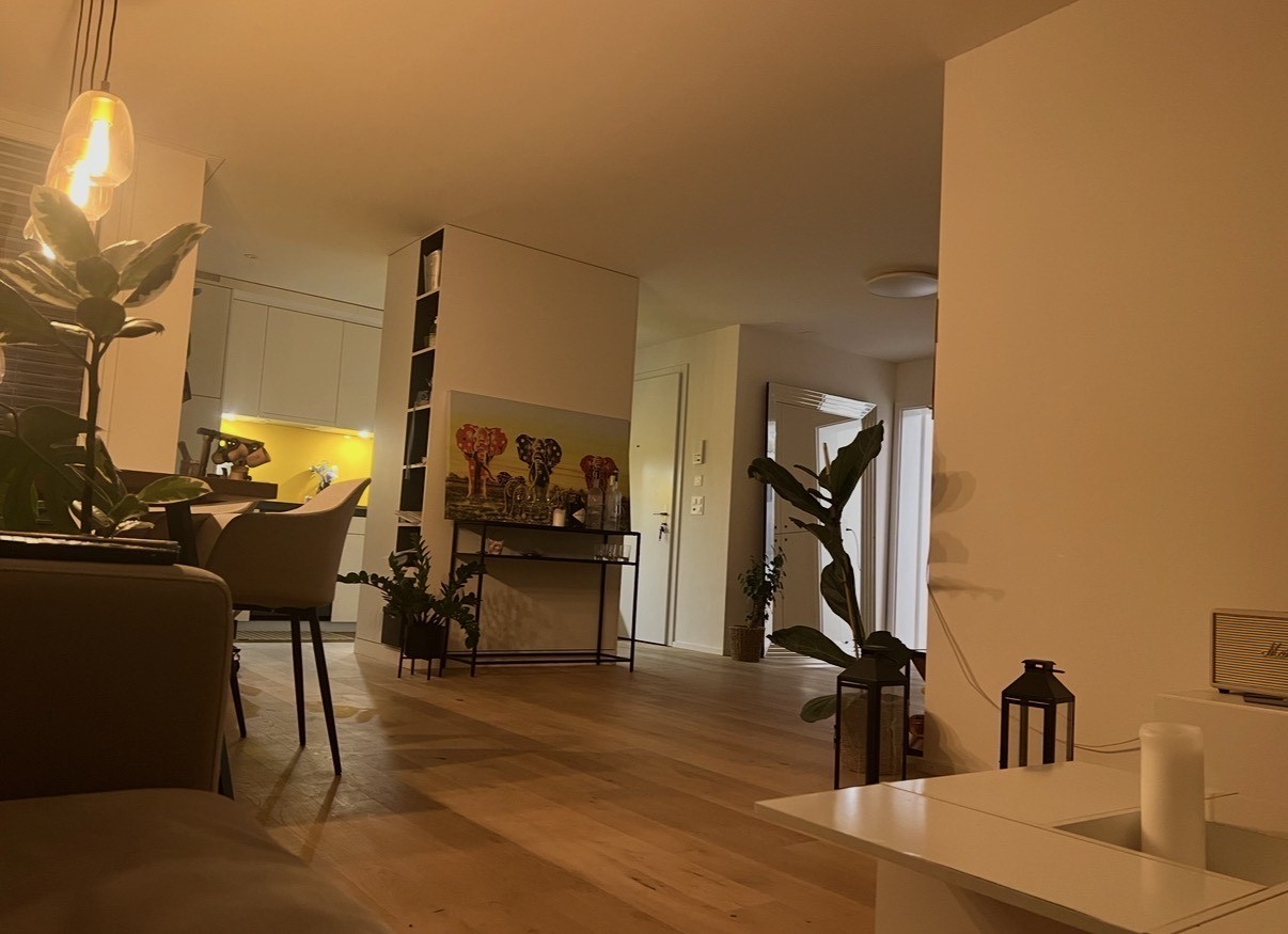 appartamento di 2 ½ locali