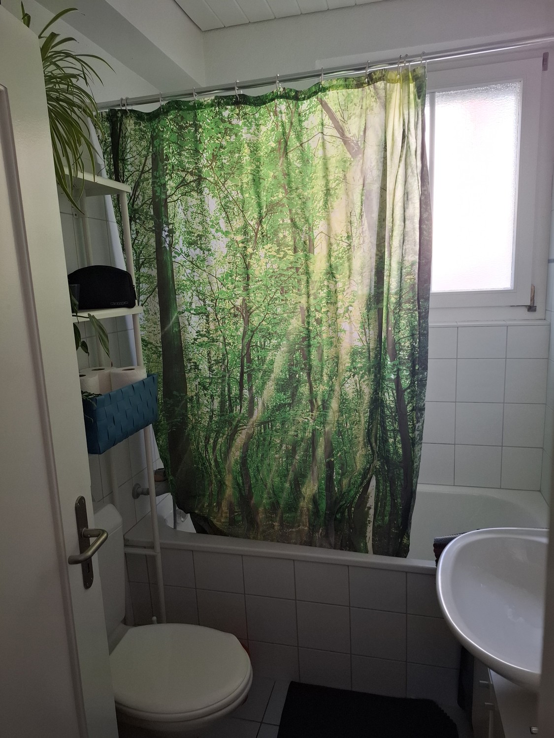 Appartamento di 2 ½ locali, foto 4 di 7