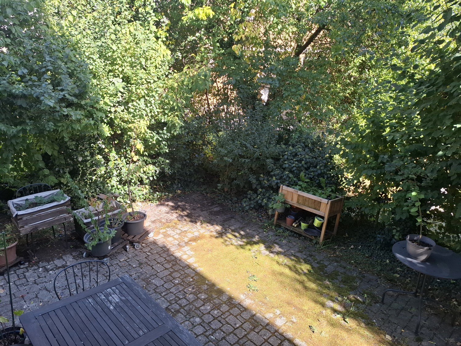 Appartamento di 2 ½ locali, foto 7 di 7