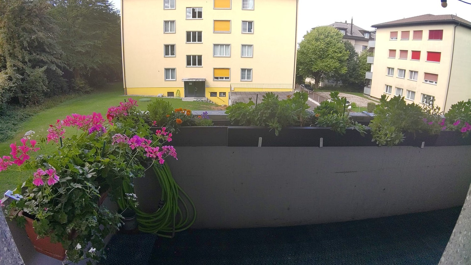 Appartement 1 pièce