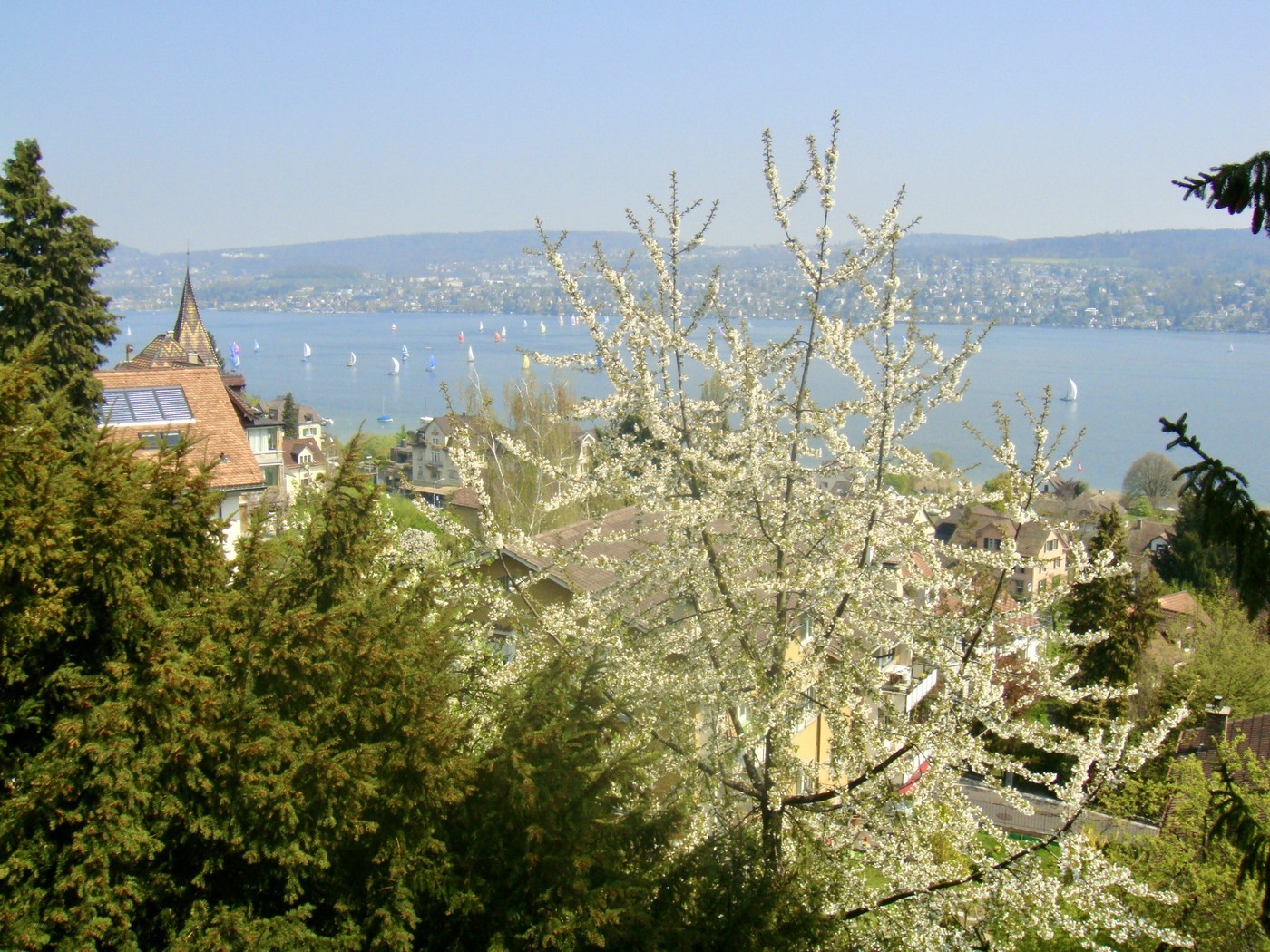 Appartamento di 2 ½ locali, foto 9 di 10