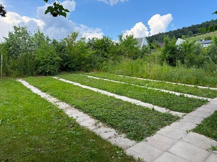 Orto urbano, foto 2 di 3