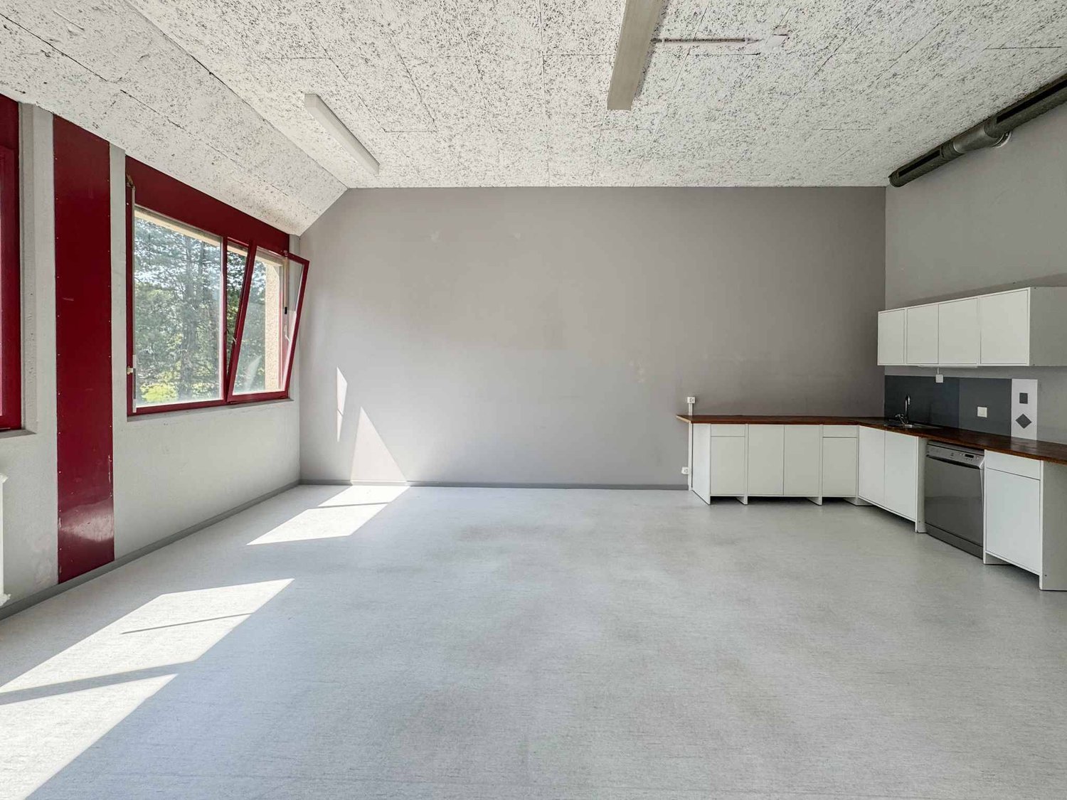365m² commerciale