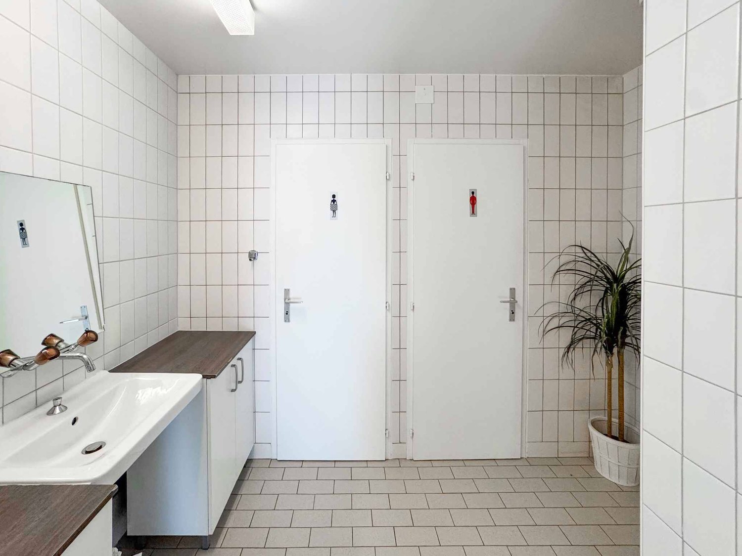365m² commerciale