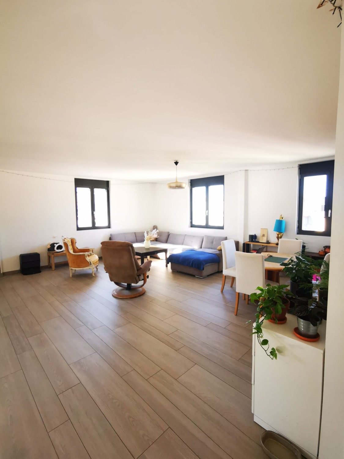 Stanza in un appartamento condiviso