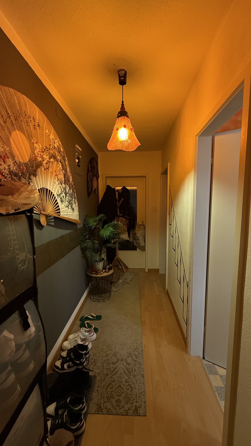 Appartement de 1 ½ pièce