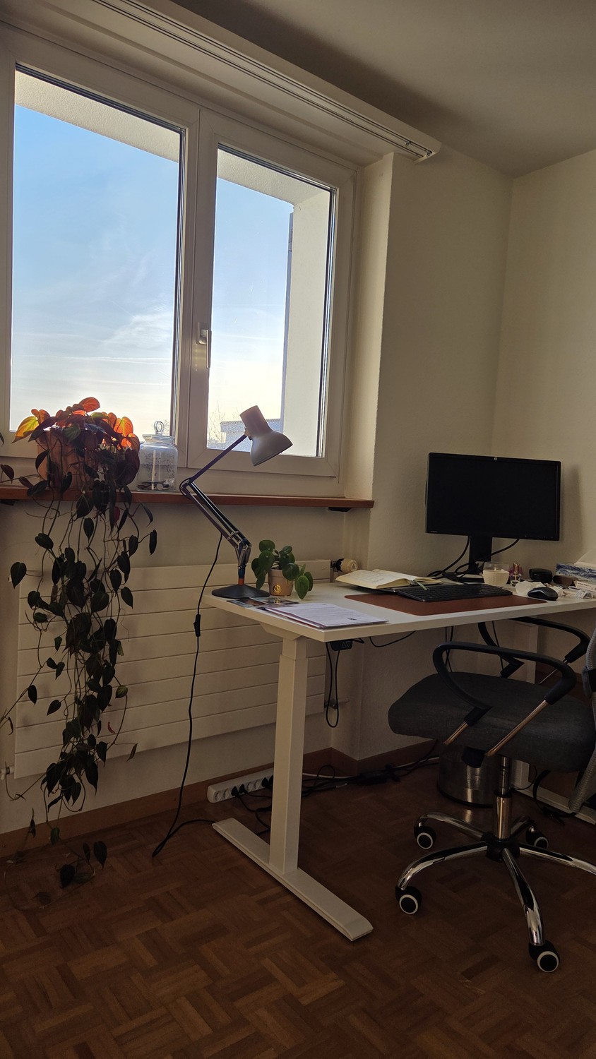 Appartamento di 3 locali