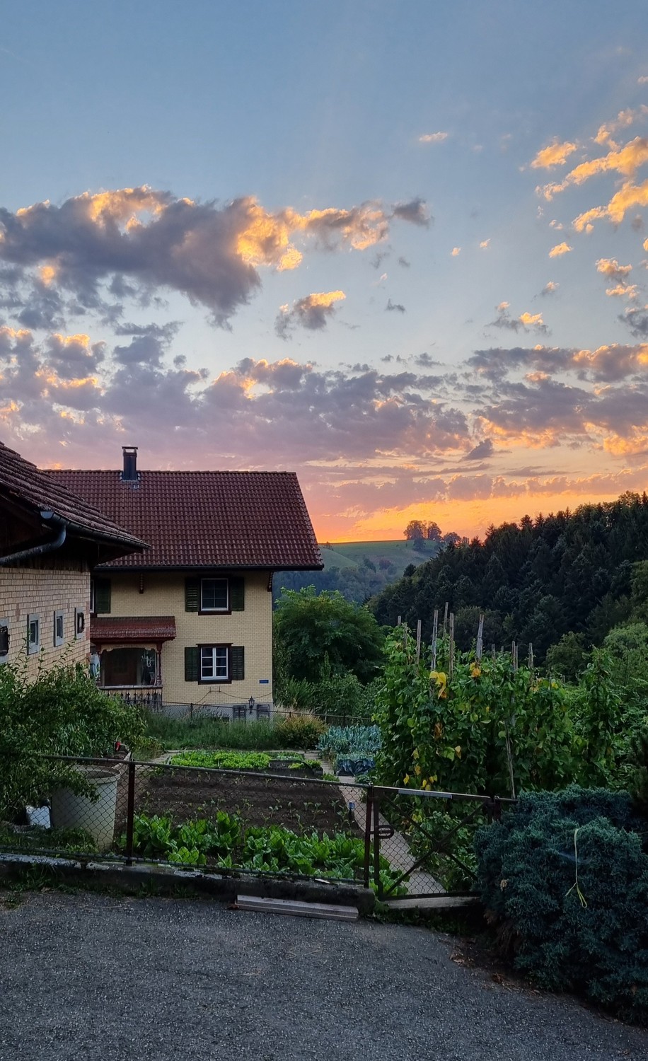 Camera in un appartamento condiviso, foto 4 di 4