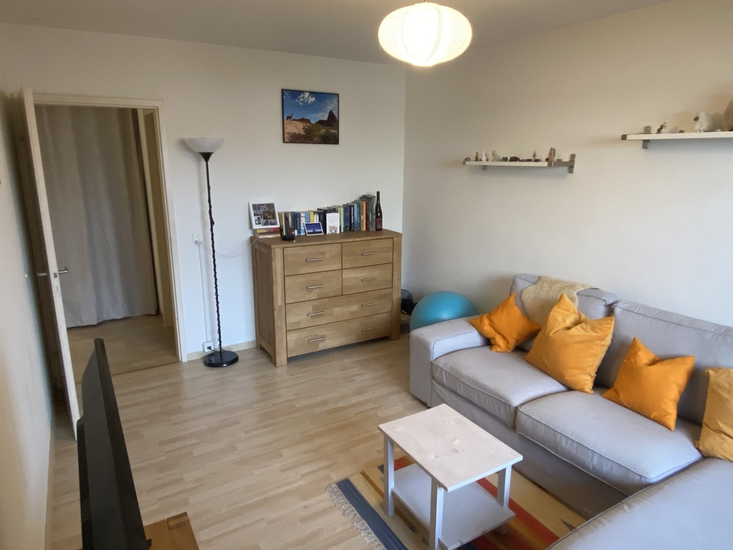 Appartamento arredato di 3 ½ locali, foto 1 di 8