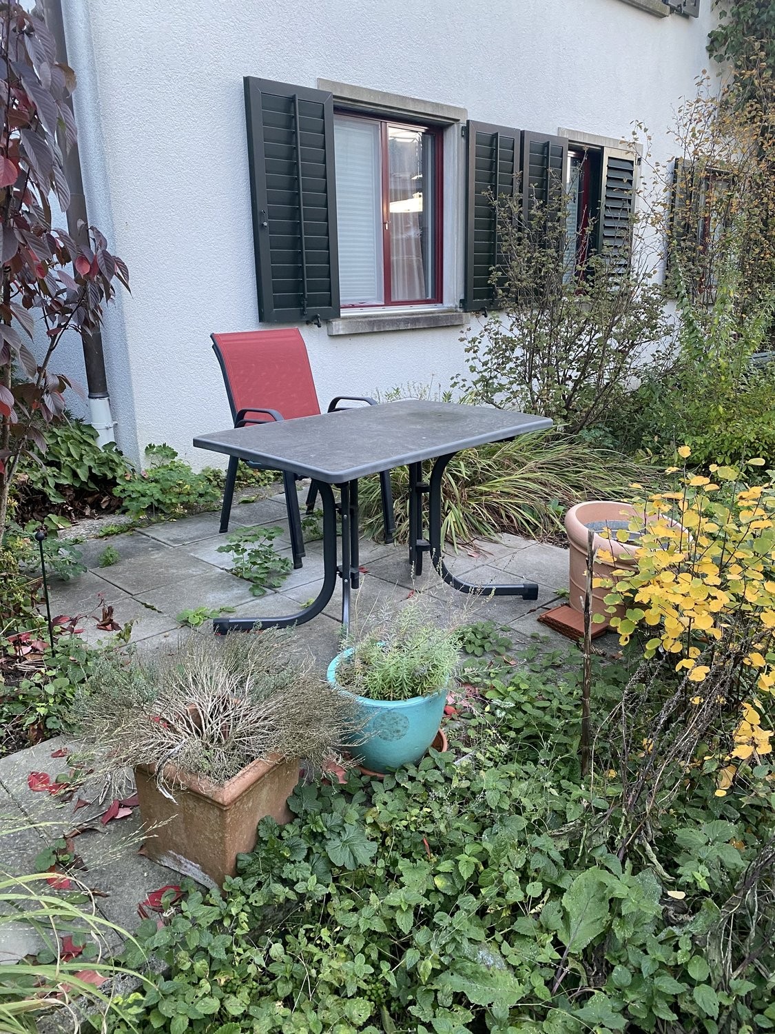Appartamento arredato di 3 ½ locali, foto 8 di 8