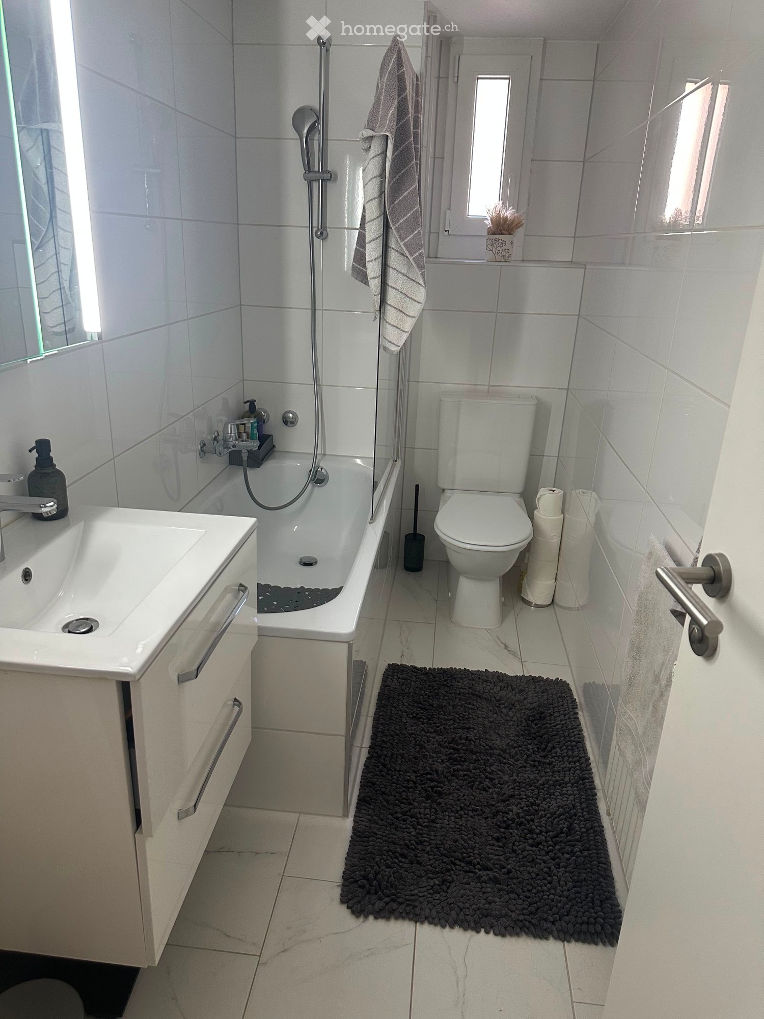 2 ½ Zimmer Wohnung