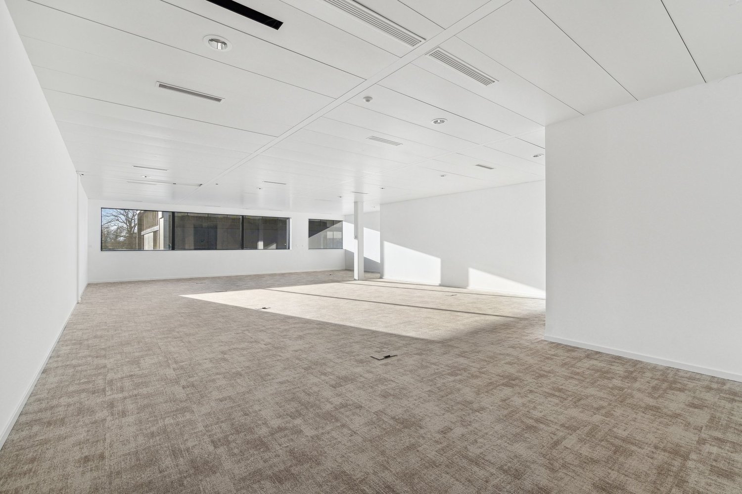 254m² Büro