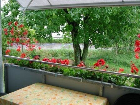 Appartamento di 2 ½ locali, foto 7 di 7