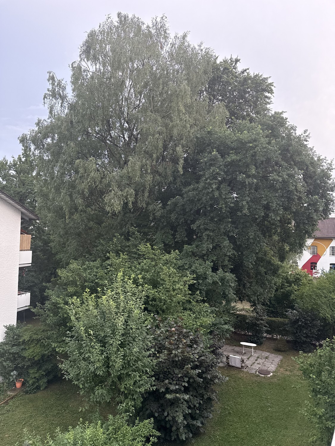 Stanza in un appartamento condiviso, foto 5 di 7