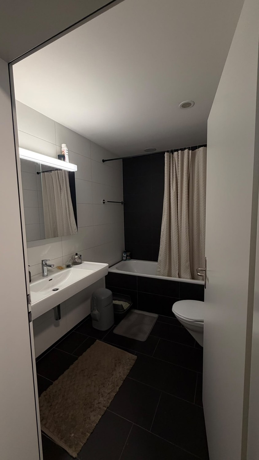 Appartamento di 3 ½ locali