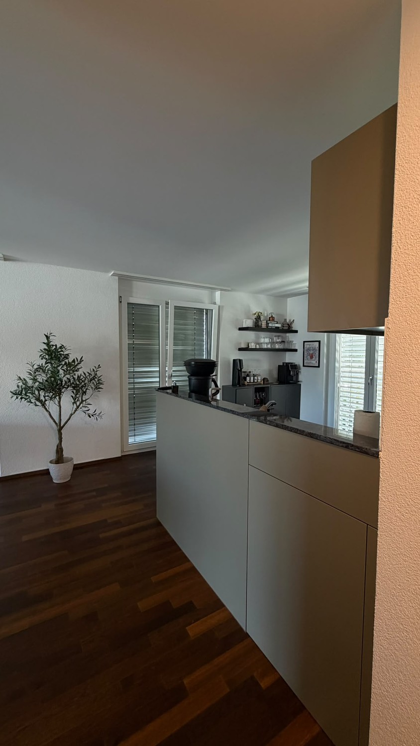 Appartamento di 3 ½ locali