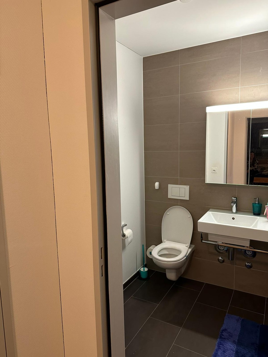 Appartamento di 2 ½ locali