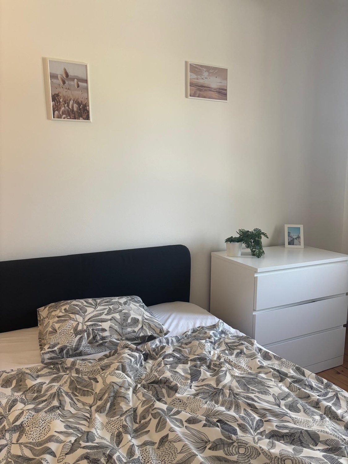 Chambre en colocation