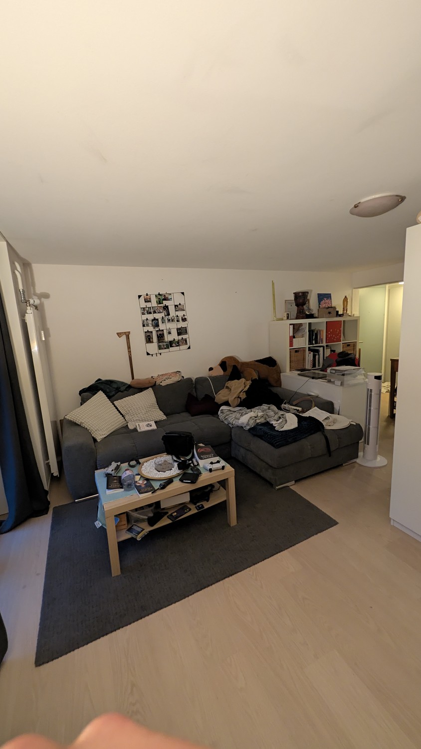 Appartamento di 2 ½ locali, foto 3 di 6