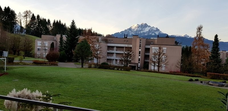 appartamento arredato di 2 locali, foto 8 di 8