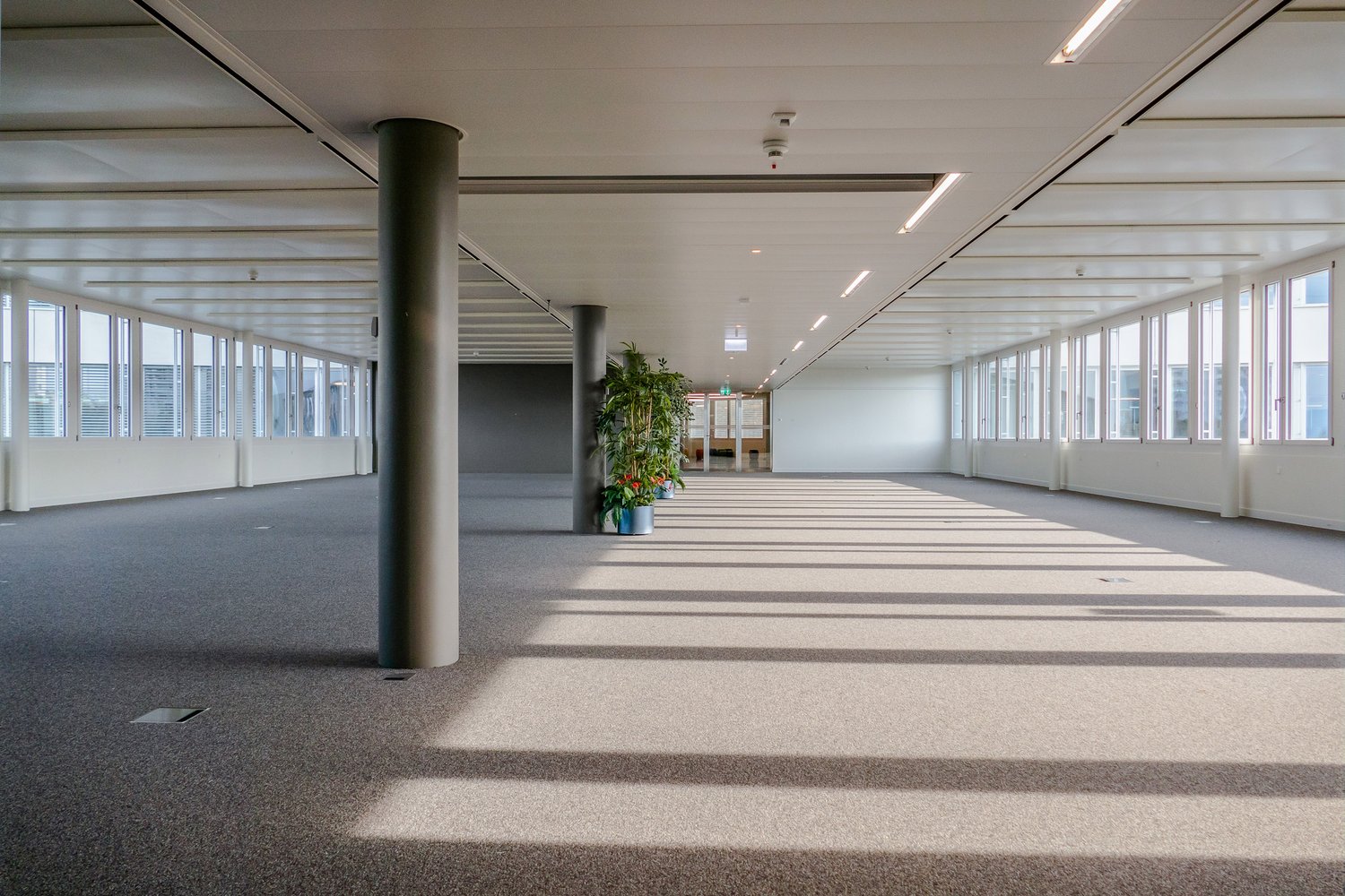 ufficio di 1424m²
