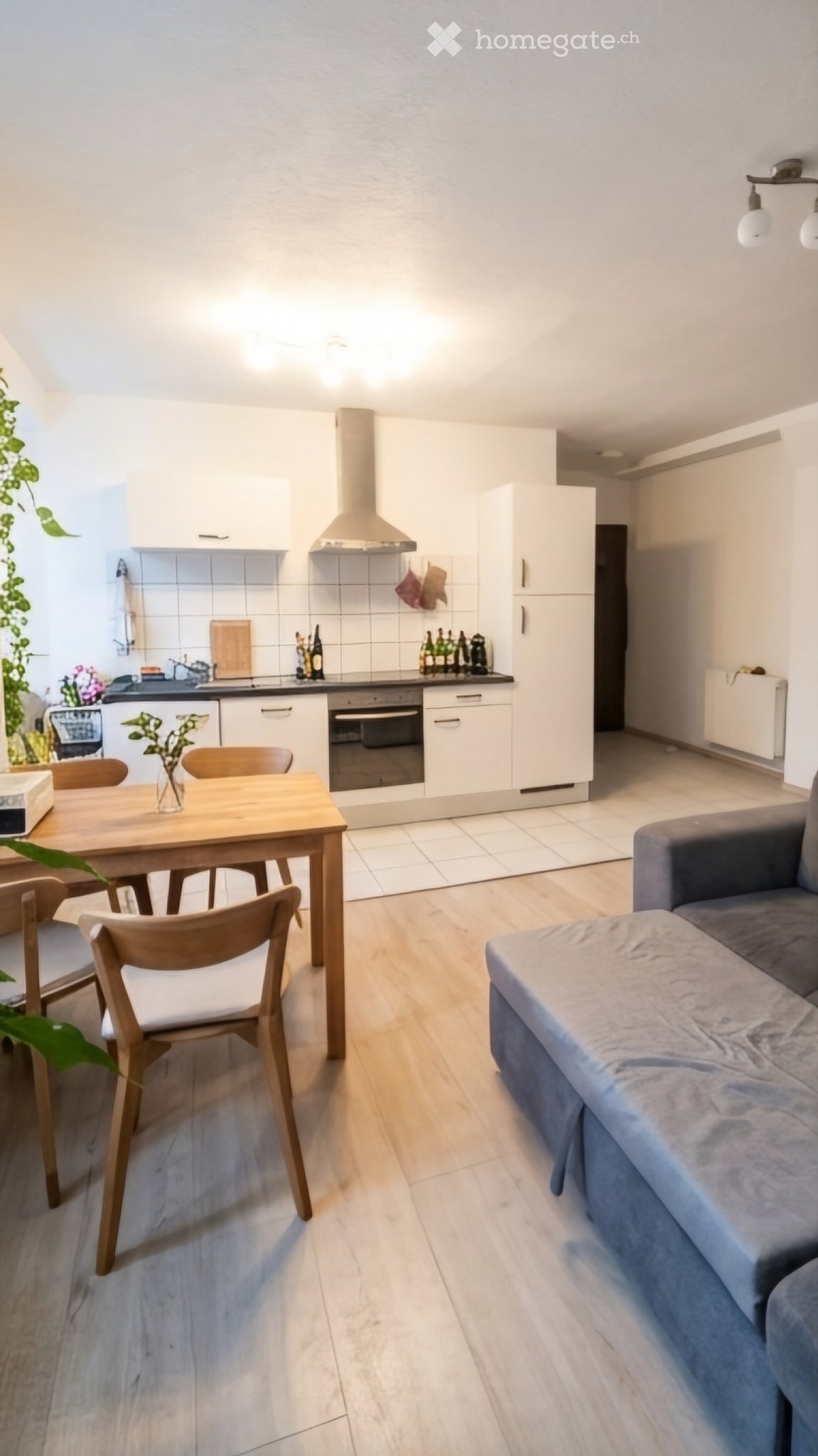 2 ½ rooms apartment
