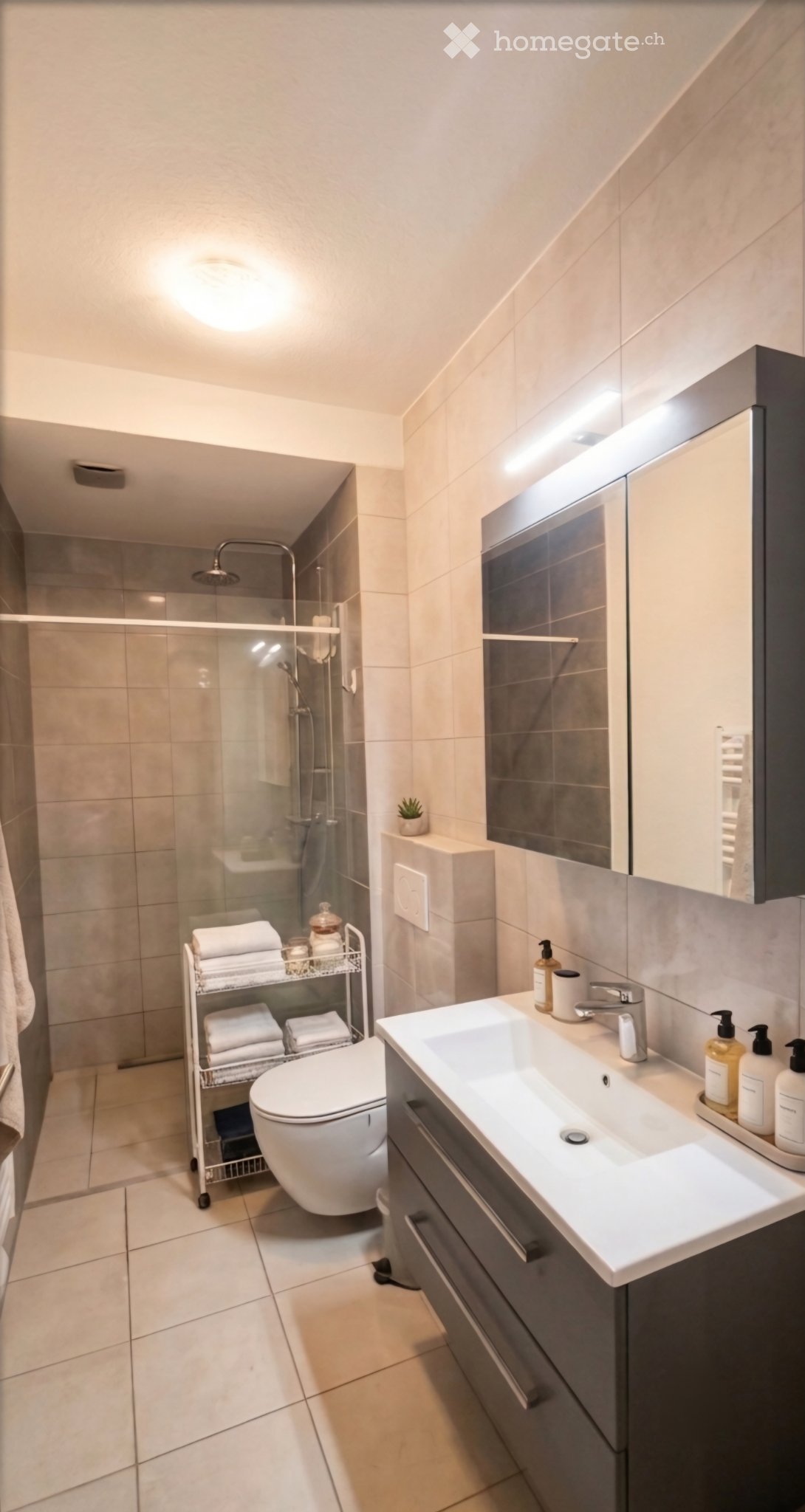 2 ½ rooms apartment