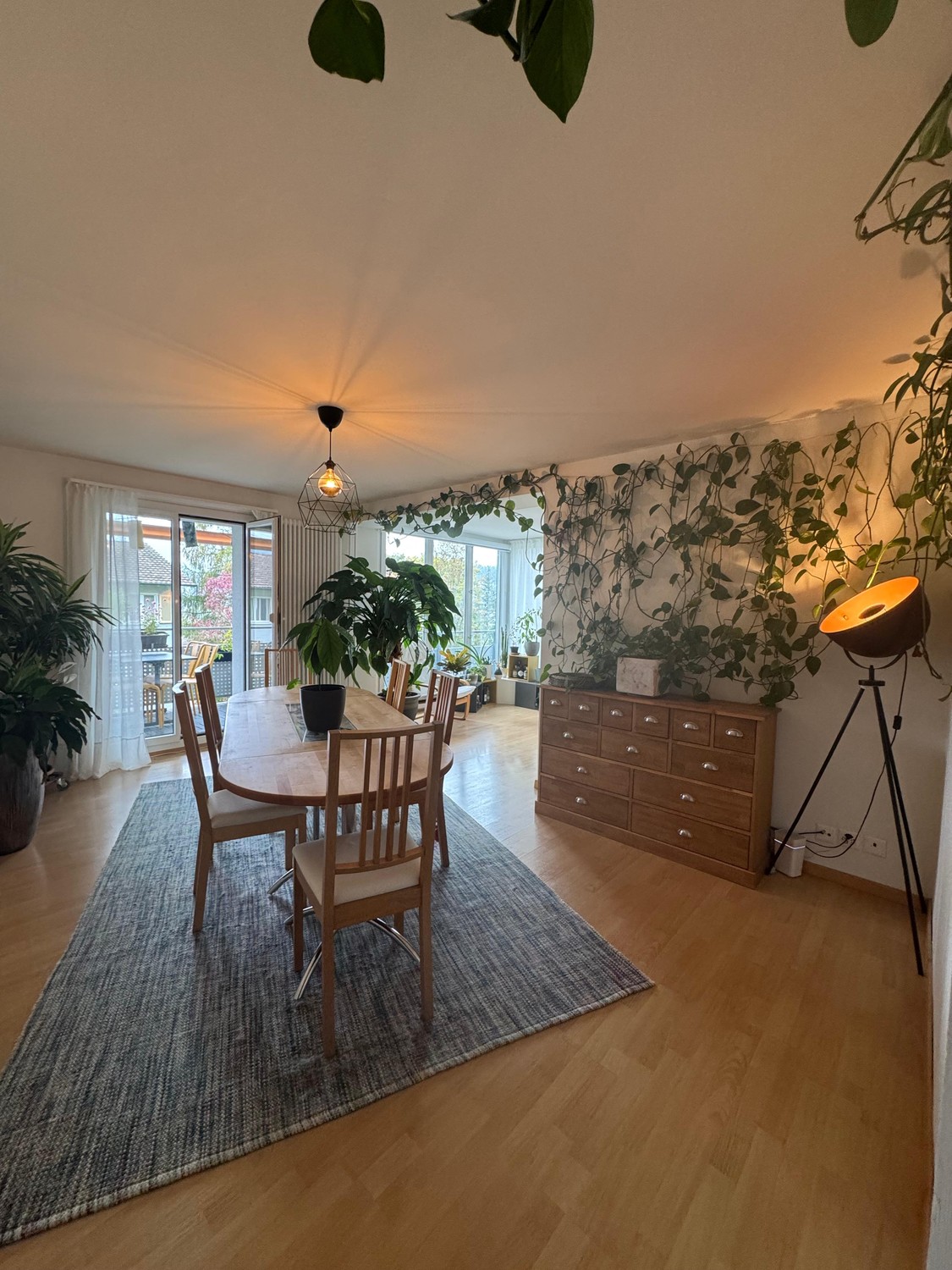 Appartamento di 2 ½ locali, foto 2 di 7