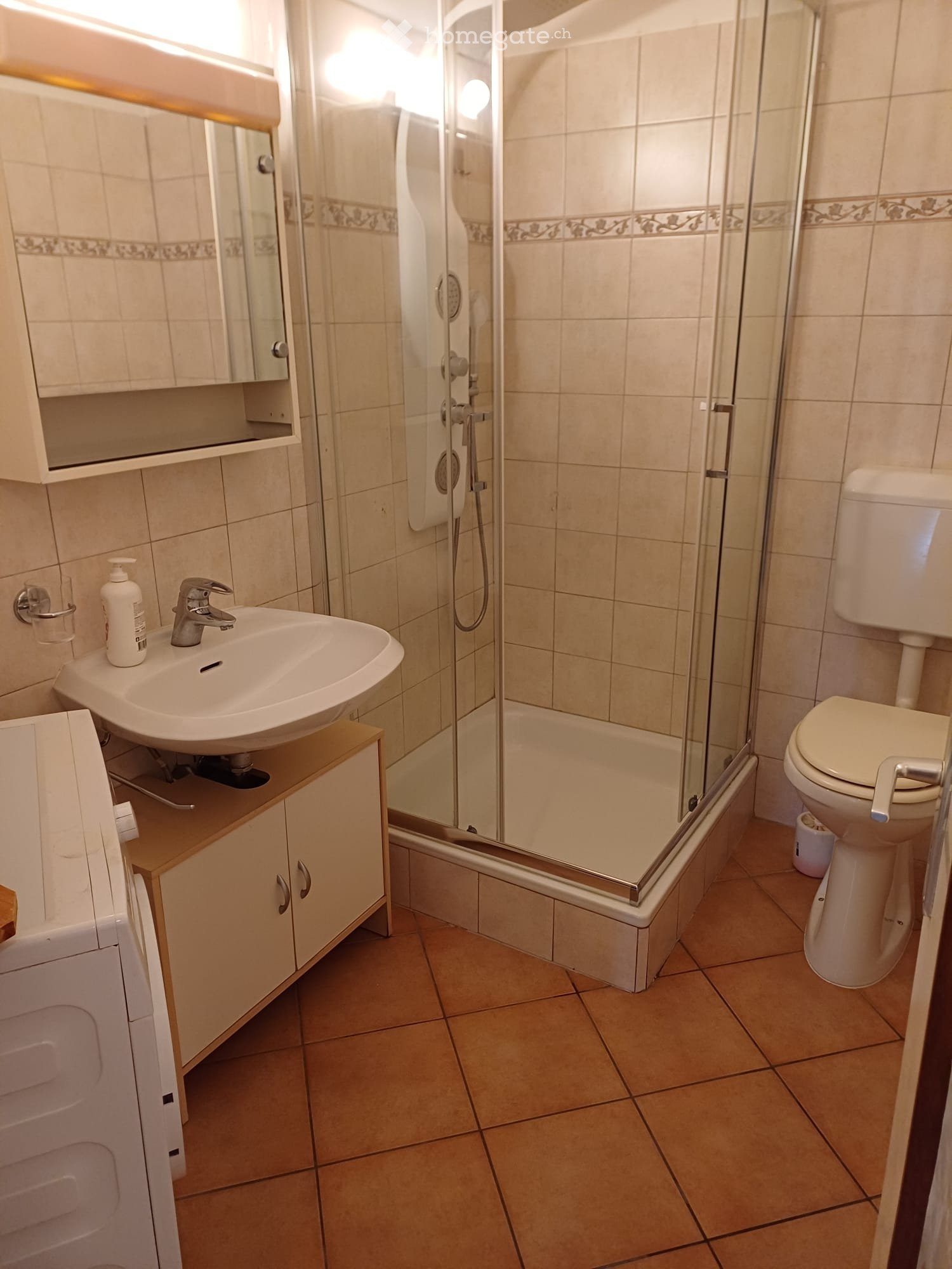 2 ½ Zimmer Wohnung