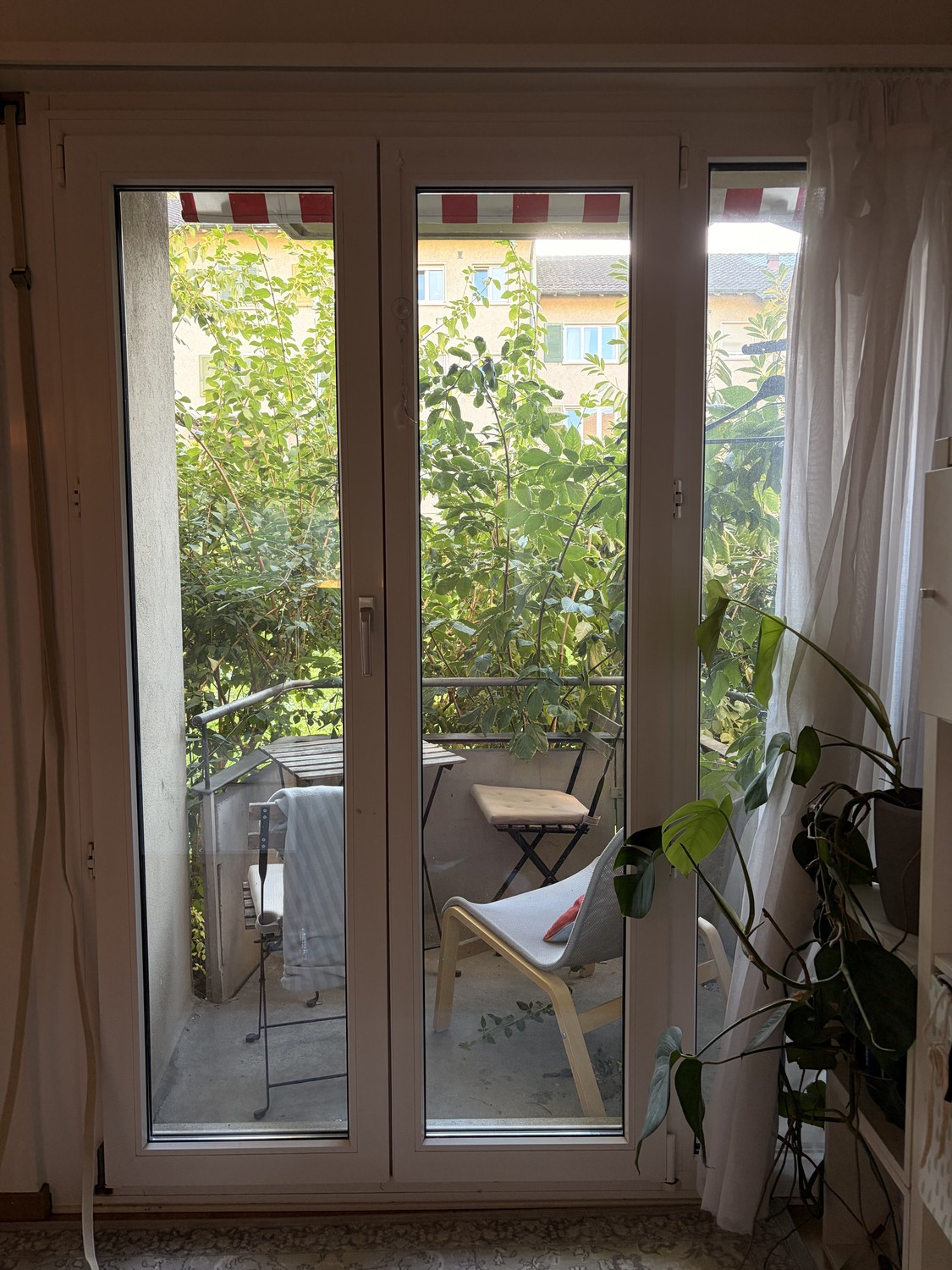 Room in a shared flat