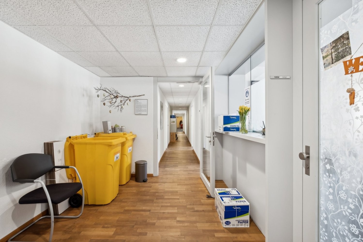124m² studio