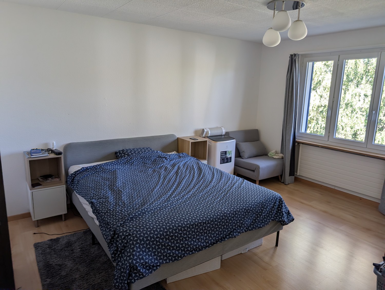 Appartement de 3 ½ pièces