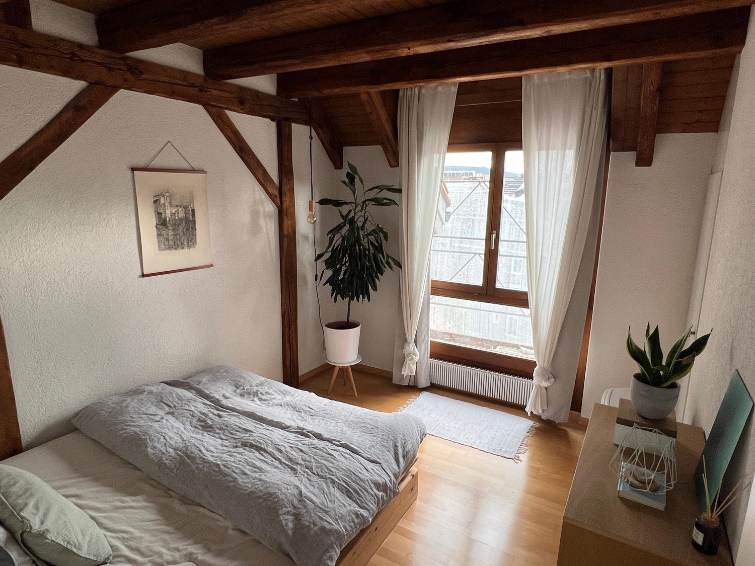 Room in a shared flat