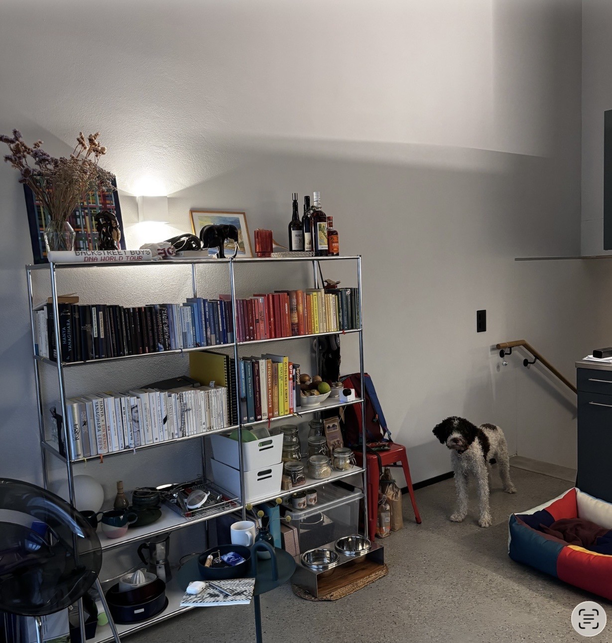 Appartement de 2 ½ pièces