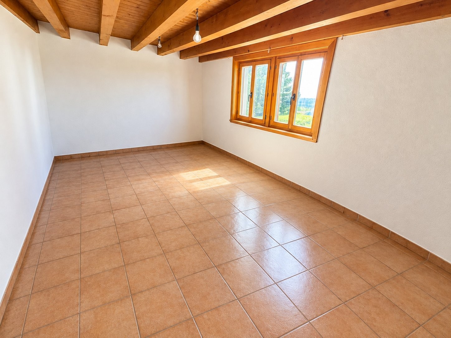 5 ½ rooms apartment