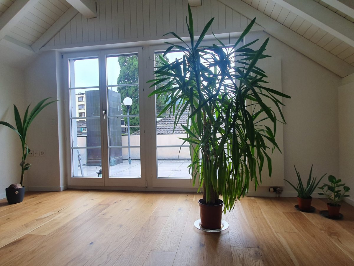 Attico di 2 ½ locali, foto 1 di 6