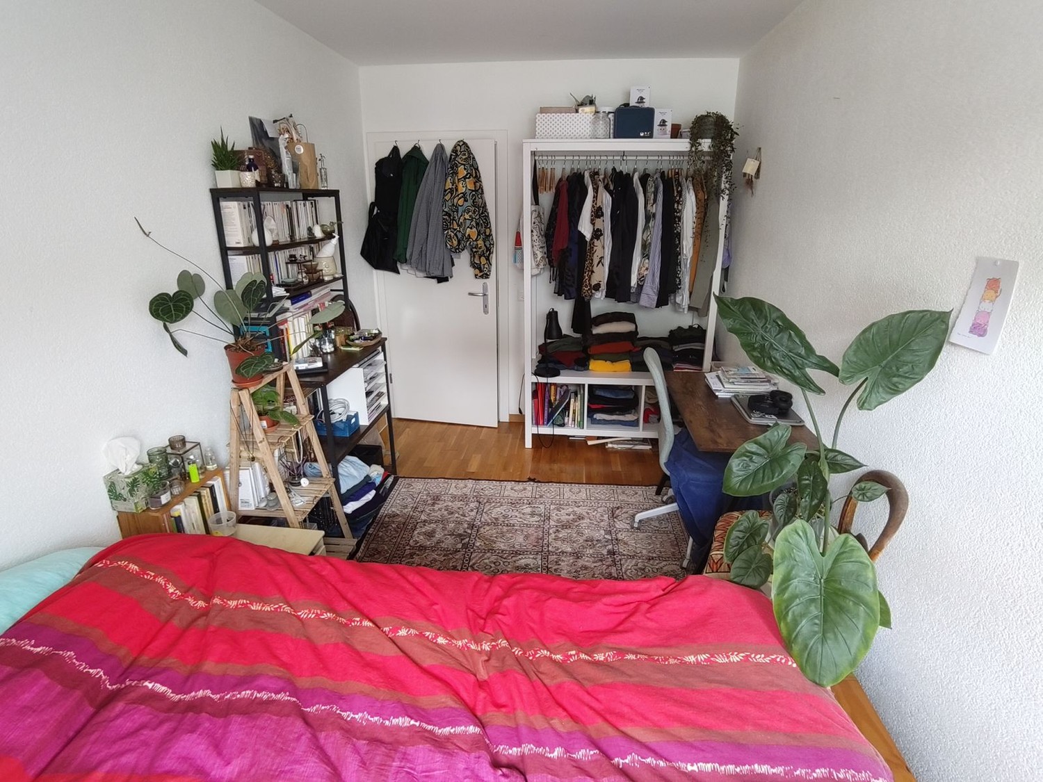 Room in a shared flat