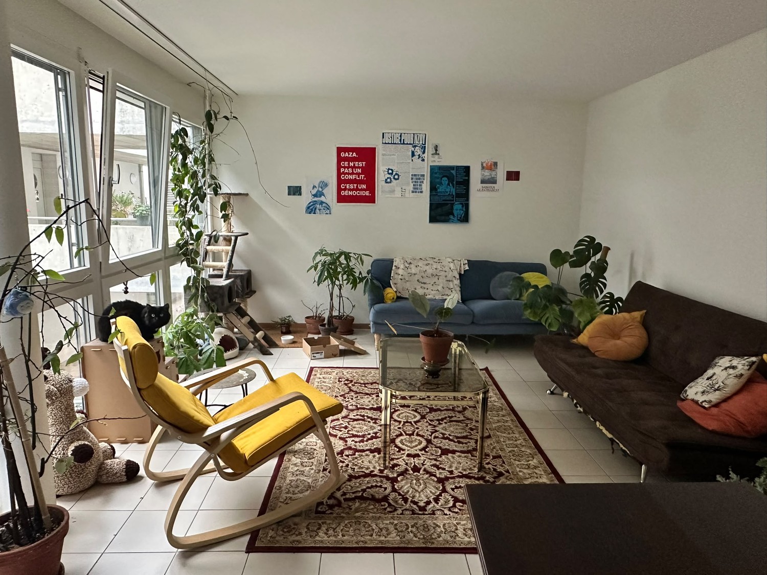 Room in a shared flat