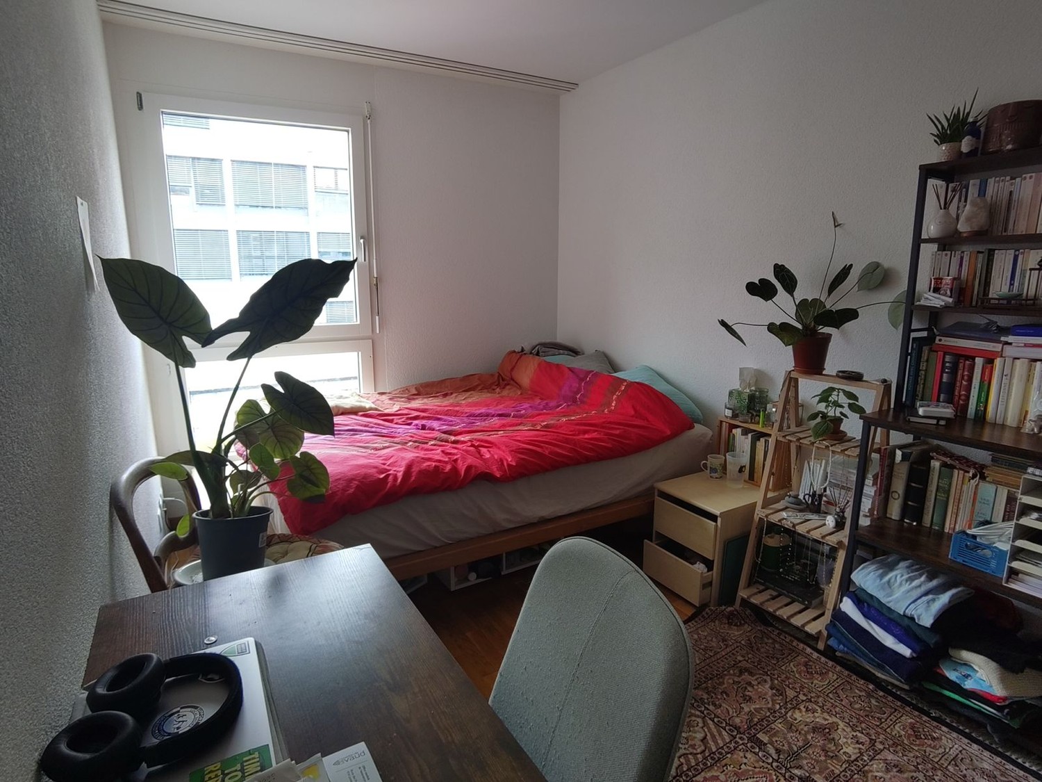Room in a shared flat
