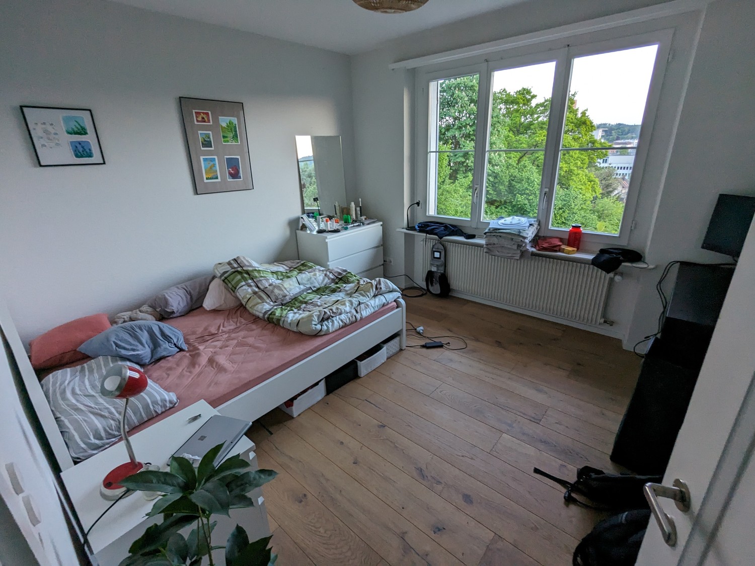 Room in a shared flat
