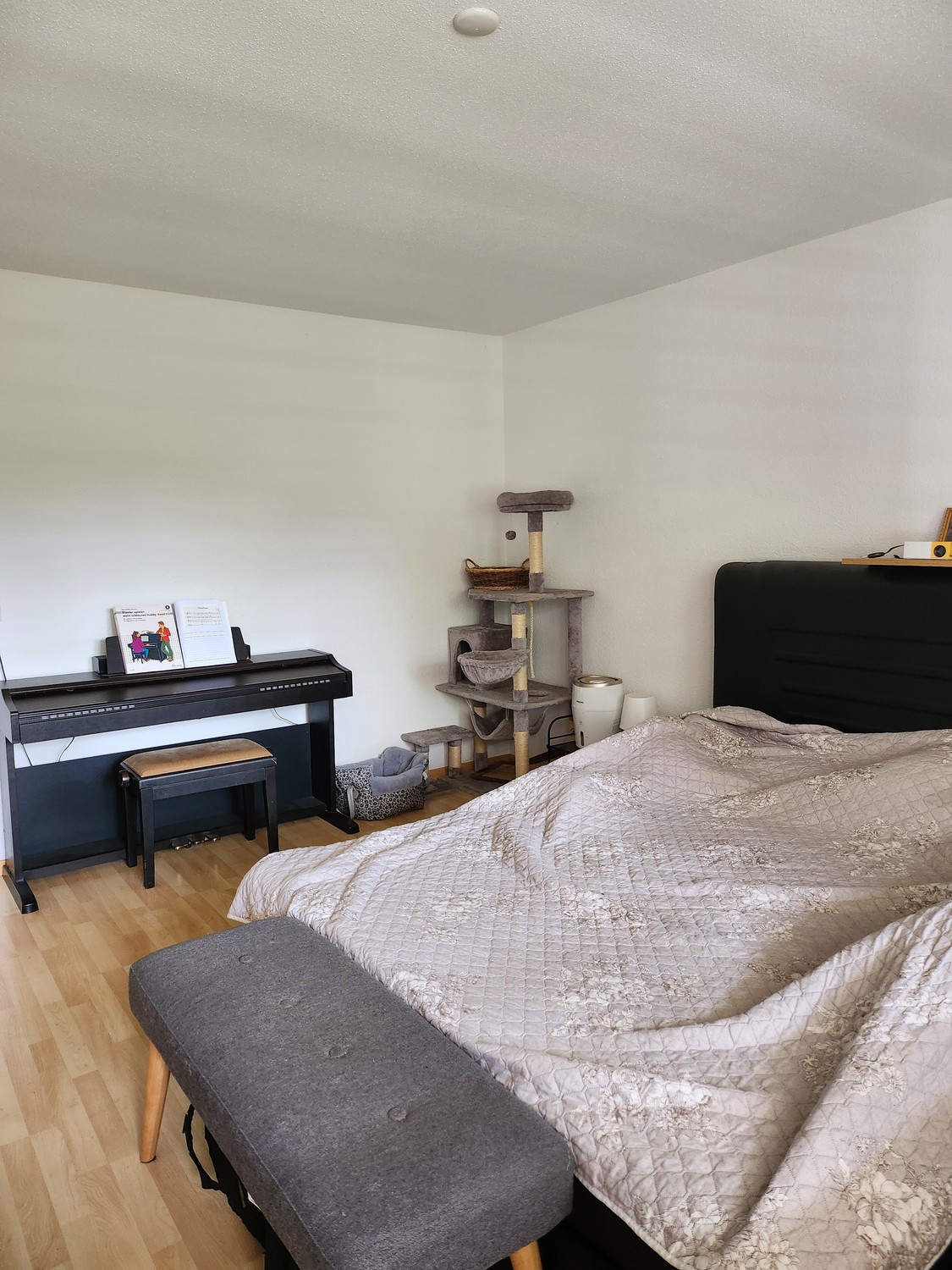 Appartement de 5 ½ pièces