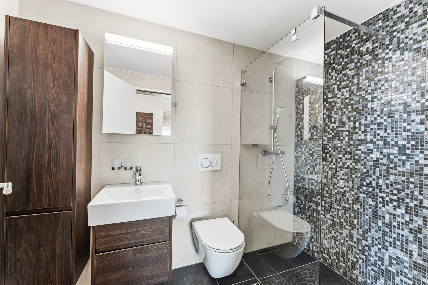 Appartamento arredato di 3 ½ locali, foto 8 di 10