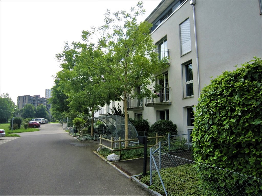 Appartamento di 3 ½ locali