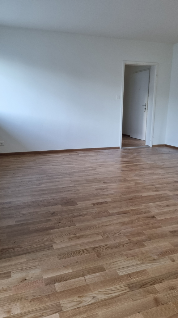 appartamento di 3 locali