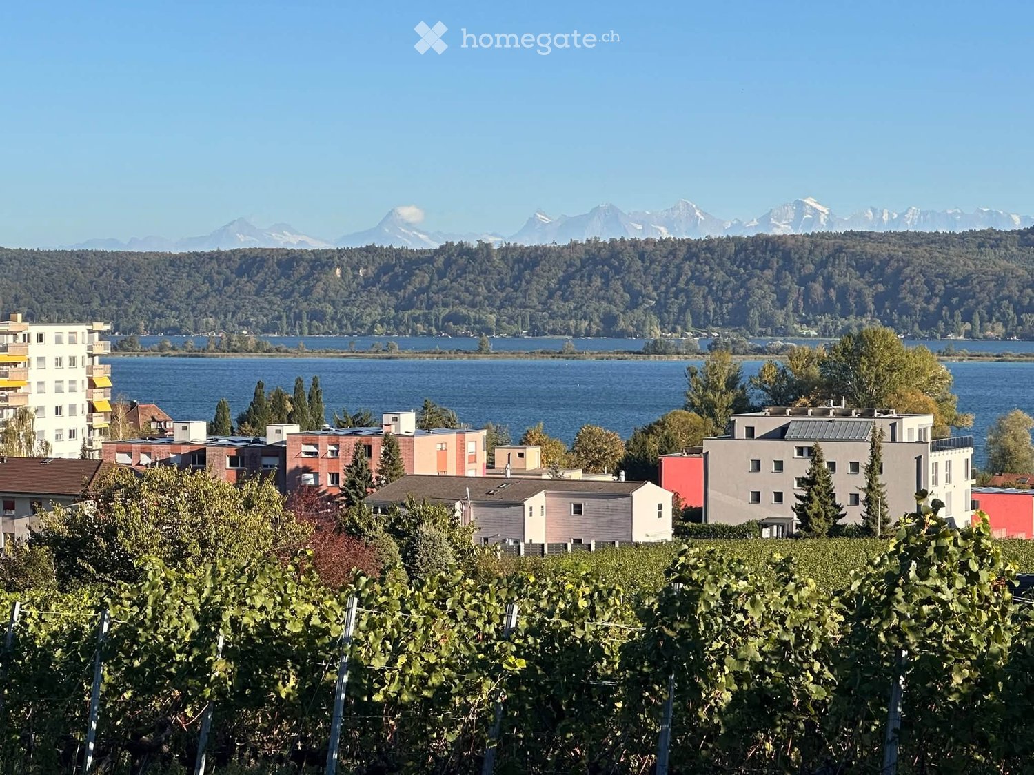 appartamento di 2 ½ locali, foto 3 di 5
