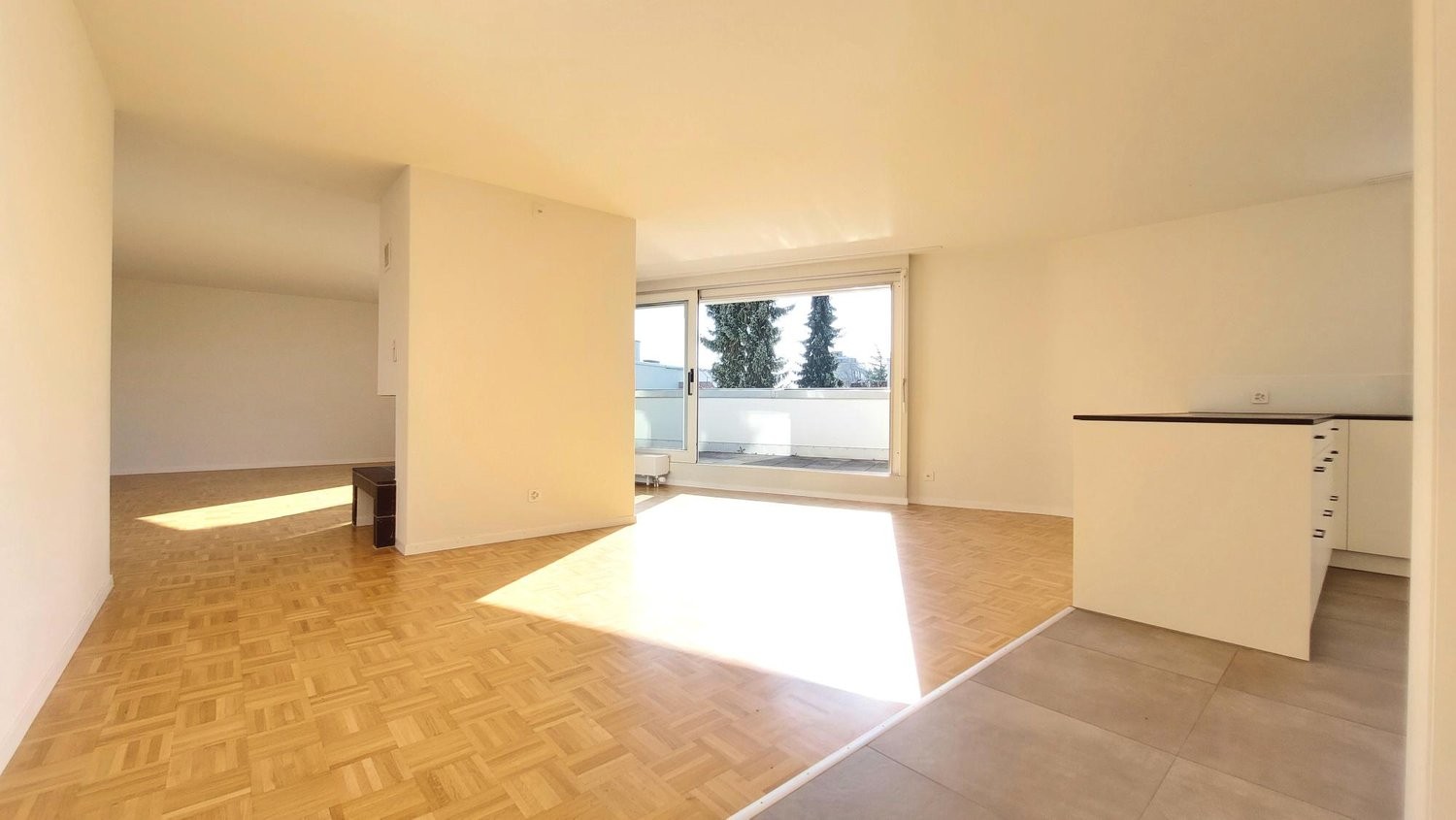 Appartement de 3 ½ pièces